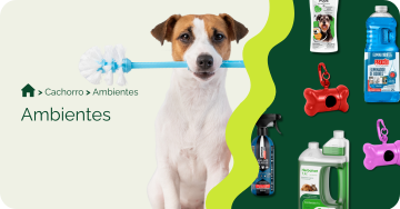 compre-por-pet/cachorro/ambientes-cachorro