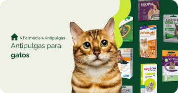farmacia/antipulgas-para-gatos