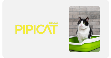 Pipicat