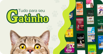 Tudo para o seu gato