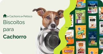 Biscoito para cachorro