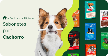 Sabonetes para cachorro