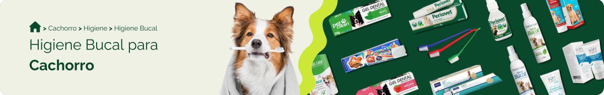Higiene bucal para cachorro