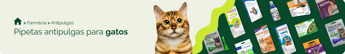 farmacia/antipulgas-para-gatos/pipeta-antipulgas-para-gatos