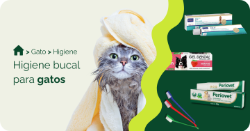 compre-por-pet/gato/higiene-para-gatos/higiene-bucal