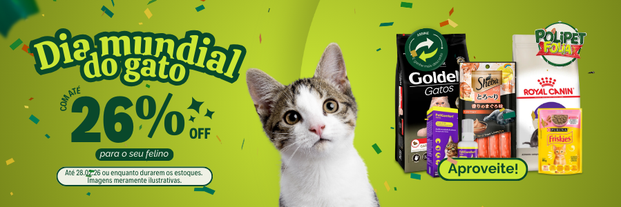 Dia do Gato