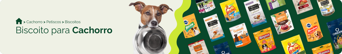 Biscoito para cachorro