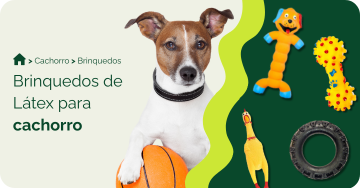 compre-por-pet/cachorro/brinquedos-para-cachorro/latex-para-cachorro
