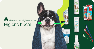 higiene-dental