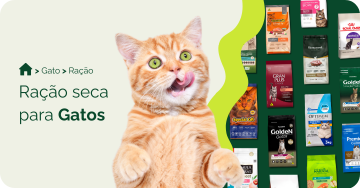 Ração seca para gato
