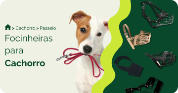 Focinheira para cachorro
