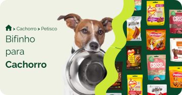 Bifinho para cachorro