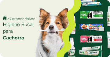 Higiene bucal para cachorro