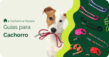 Guias para cachorro