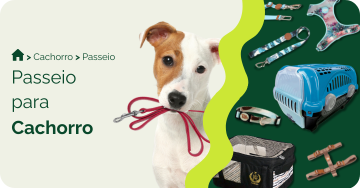 Passeio para cachorro