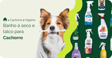 Banho a seco para cachorro