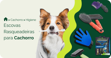 Escovas e rasqueadeiras para cachorro