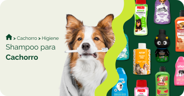 Shampoo para cachorro