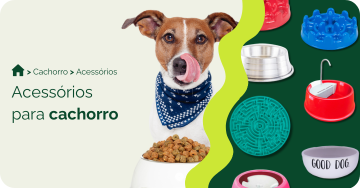 compre-por-pet/cachorro/acessorios-para-cachorro
