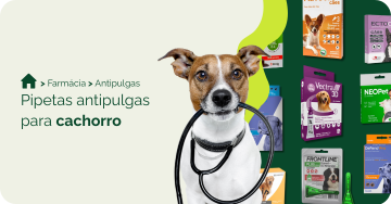 farmacia/antipulgas-para-cachorro/pipeta-antipulgas-para-cachorro