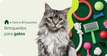 compre-por-pet/gato/brinquedo-para-gatos