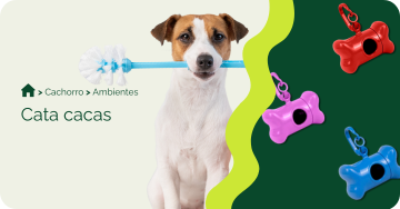 cata-caca-para-cachorro