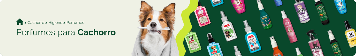 Perfume para cachorro