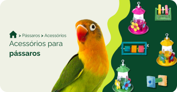 Acessorios para pássaros