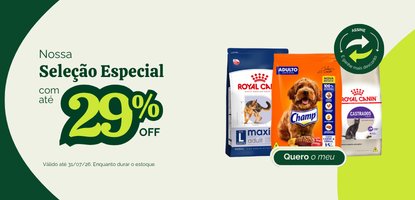 Os queridinhos