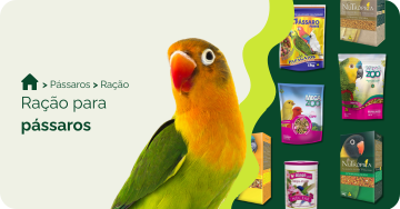 Ração Agapornis