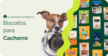 Biscoito para cachorro