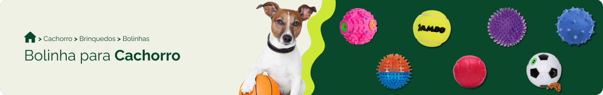 compre-por-pet/cachorro/brinquedos-para-cachorro/bolinha-para-cachorro