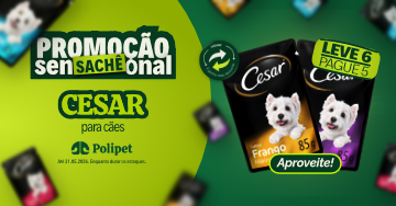 Sachê Cesar