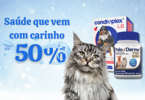 Saúde