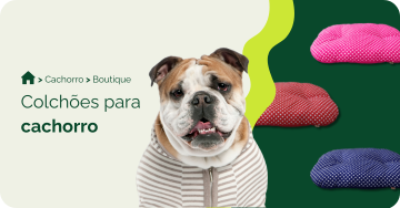 compre-por-pet/cachorro/boutique-cachorro/colchoes-para-cachorro