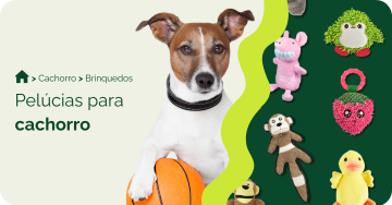 compre-por-pet/cachorro/brinquedos-para-cachorro/pelucia-para-cachorro