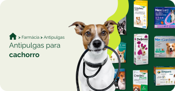 farmacia/antipulgas-para-cachorro