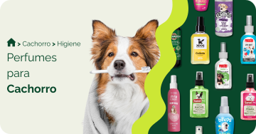 Perfume para cachorro