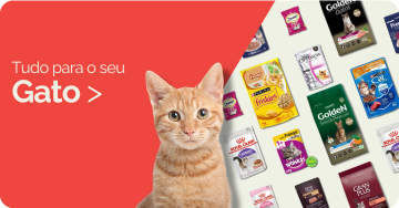 Tudo para o seu gato