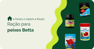 Ração para peixe Betta Ração para peixe Betta