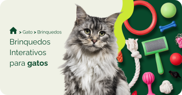 compre-por-pet/gato/brinquedo-para-gatos/brinquedos-interativos-para-gatos