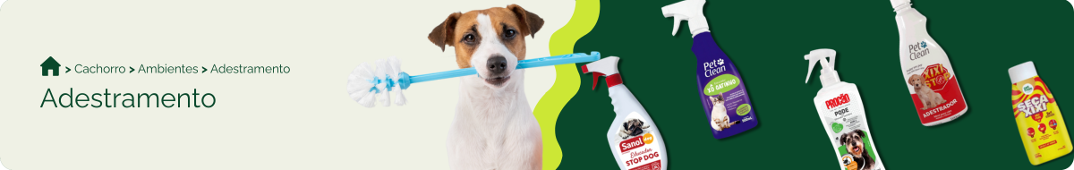 compre-por-pet/cachorro/ambientes-cachorro/adestramento