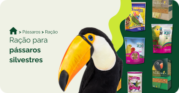 Ração para pássaros silvestres