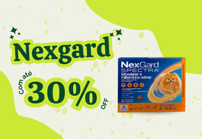 Nexgard