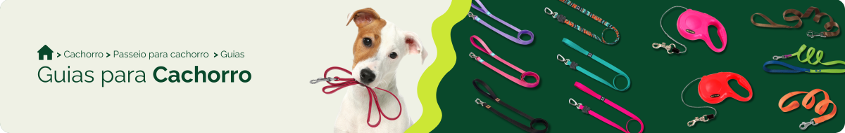 Guias para cachorro
