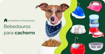 compre-por-pet/cachorro/acessorios-para-cachorro/bebedouros-para-cachorro