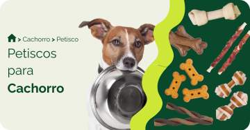 Petisco para cachorro