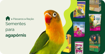 Sementes para agapornis