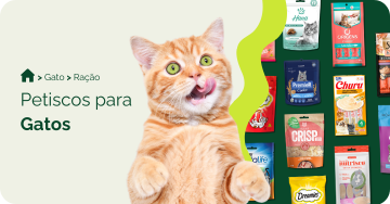 Petiscos para gatos