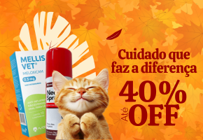 Saúde